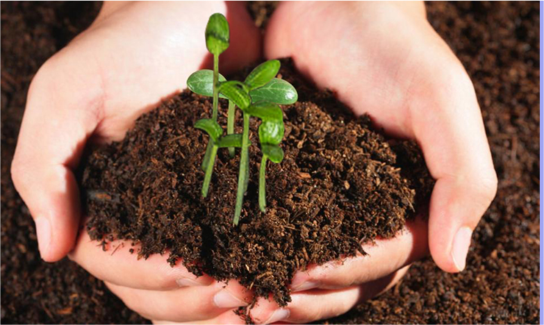 ���ޱ�Ӯ���ʡ�437ccm(�й���)�ٷ���վ