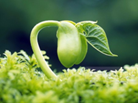 ��̬���β�������������ˮ�����������̷�ˮ�Ƿ�ΪΣ���̵ֽĻظ�